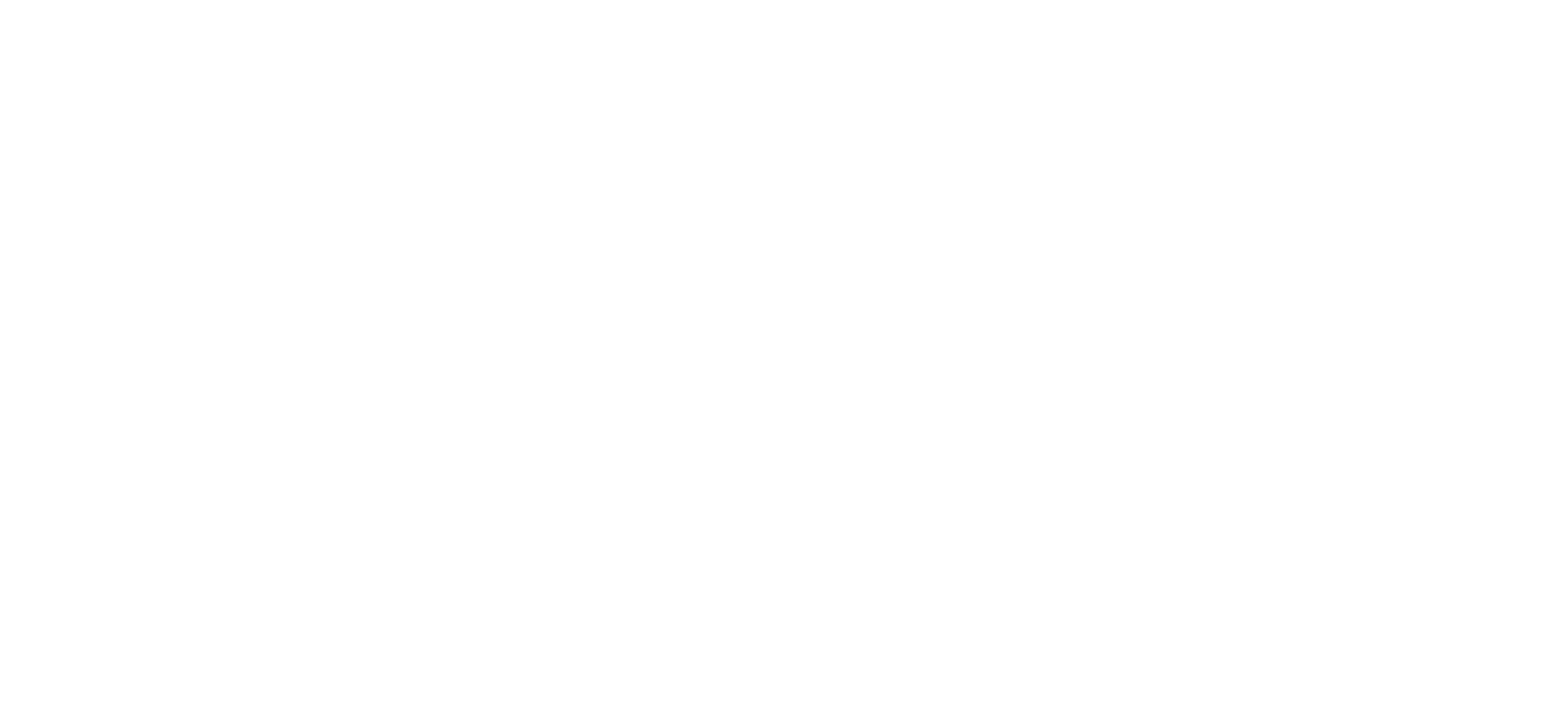 Dude-Wipes
